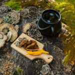 Adaptogenic mushrooms and herbs are natural substances known for their adaptogenic properties, which means they can help the body adapt to stress, maintain balance, and support overall well-being. These substances are often used in traditional medicine systems and herbal remedies to promote resilience to various stressors.