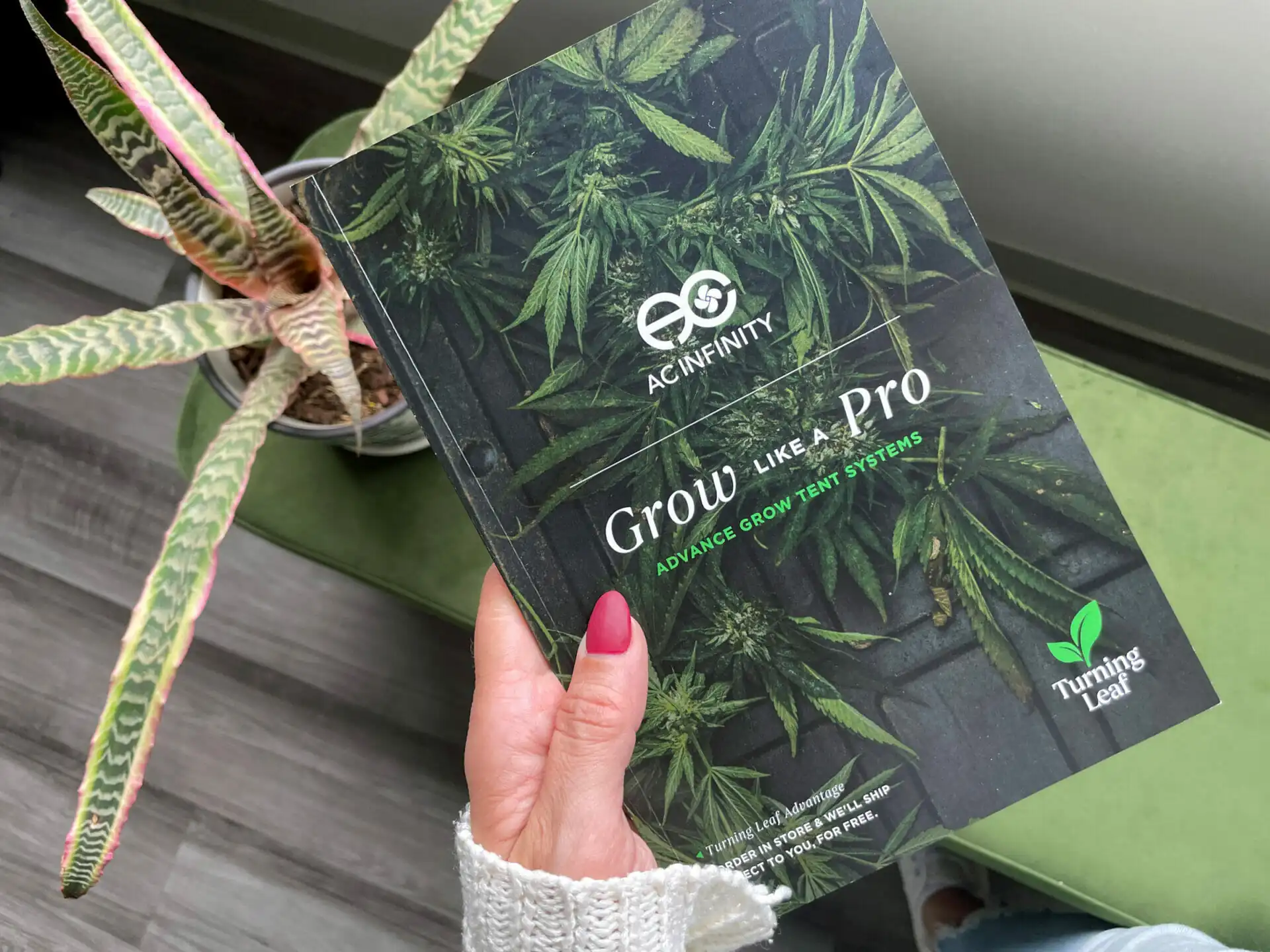Cultivated in Minnesota: AC INFINITY Grow Tents now available at Turning Leaf
