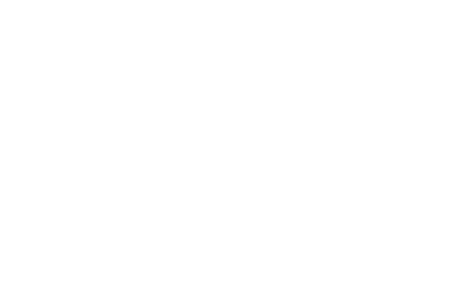 Professor Puzzle Logo