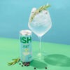 27843 ISH Canned Gin and Tonic Cocktail